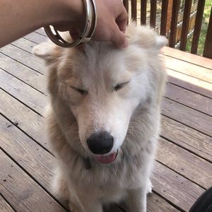 Meet your Posher, Cade